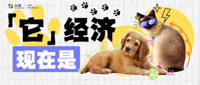现在是“它经济”！